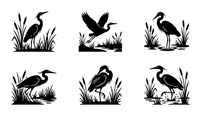 Fototapeta premium Heron Silhouettes in Wetland Reeds