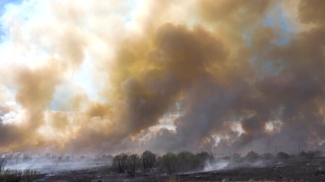 Prairie fire. Grassy shrubby spaces engulfed by fire in dry season. Climate change leads to increased droughts and anthropogenic impact. Streak of fire with dense multicolored smoke, scale of disaster