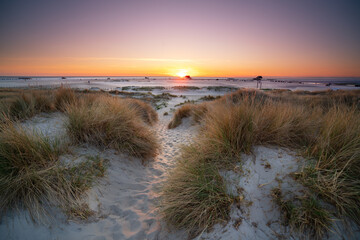 summer evening in the dunes near the sea © Jenny Sturm