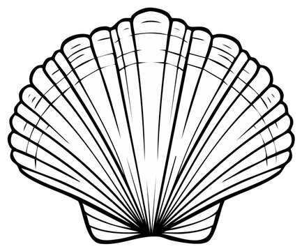 Detailed monochrome outline of a seashell with radiating pattern and symmetrical valve shape, vector illustration