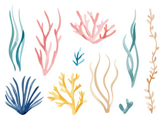 Fototapeta premium Coral reef, ocean plants, seaweed, underwater floral elements, vector set