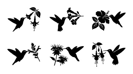Hummingbird Silhouettes with Flowers Collection © Nabila