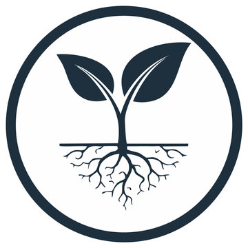 Growth icon of a young plant with leaves and roots inside a circle outline symbolizing new beginnings and natural development