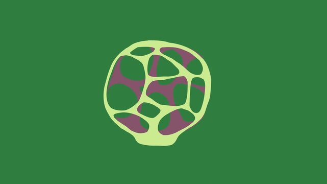 Soccer ball on bird flying over it cat  frame elements gesture design layers scene creative emotion movement composition