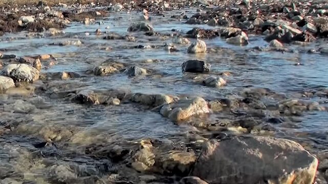 Witness the gentle flow of a crystal-clear stream in Arctic Svalbard, Norway. Water gracefully cascades over smooth and rugged stones, creating a tranquil symphony in this wild, remote wilderness.