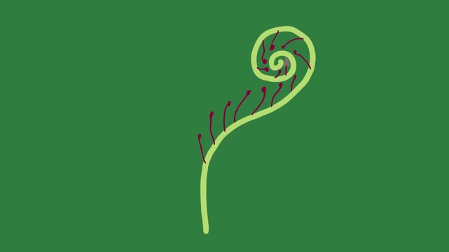 An arrow pointing to the left red dot on it snake in middle image of snail spiral  figure creative style frame