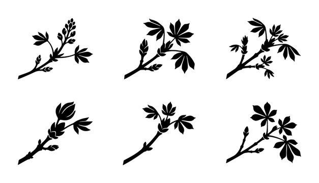 Black Horse Chestnut Tree Buds and Leaves, Spring Growth Vector Icons, Botanical Branch Elements