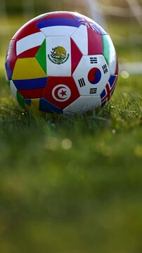 International soccer ball on grass at sunset