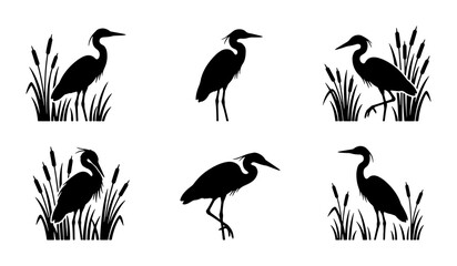 Fototapeta premium Heron Silhouettes with Reeds