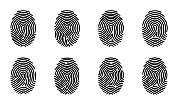 Unique Fingerprint Patterns Collection