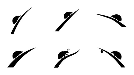 Snail Climbing Grass Blades, Six Stages of Movement, Simple Black and White Vector Icons © Nushrat