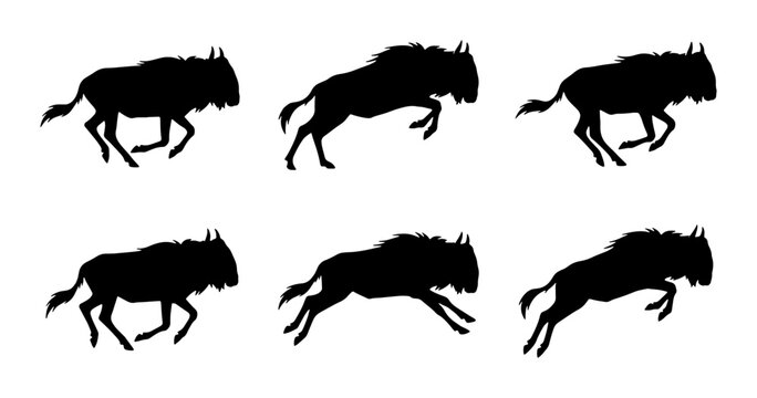 Wildebeest running sequence silhouette