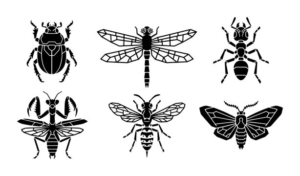 Insect Silhouettes Collection: Beetle, Dragonfly, Ant, Praying Mantis, Wasp, Moth Icons