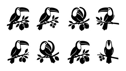 Fototapeta premium Toucan Bird Silhouettes on Branch Collection