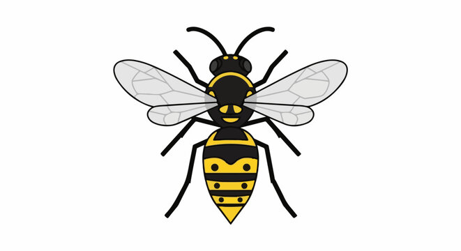 A simple cartoon illustration of a yellow and black wasp with transparent wings