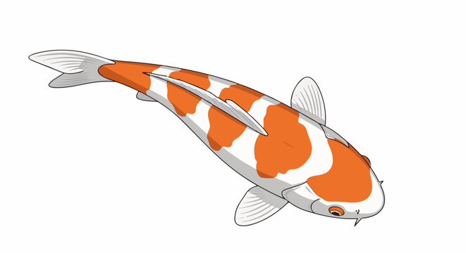 A simple, flat illustration of a Koi fish with bold orange patches on a white body