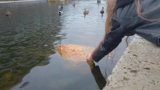 Child reaches toward water to feed mallard ducks in a serene Budapest park pond during winter. A static shot capturing peaceful nature interaction and wildlife movement in a cold urban environment.