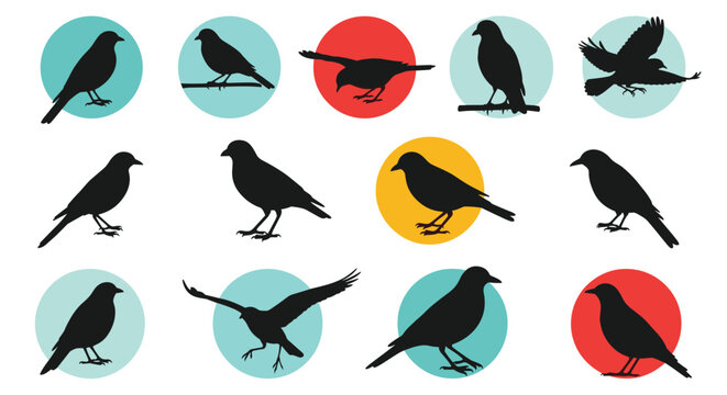 Grid of various bird silhouettes including crows sparrows and pigeons set against colorful circular backgrounds for nature and wildlife collection.