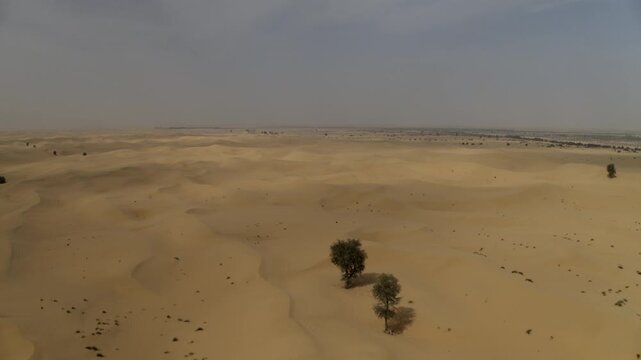 Aerial view of vast sand dunes and scattered green trees under a hazy sky in the desert near Dubai, Dubai, United Arab Emirates.