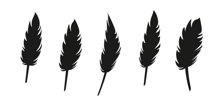 Cartoon bird feathers for a pen and ink. Light feathers silhouette. Bird feather with a slender, slightly curved shaft and sharply tapering barbs. The feather appears light, graceful, and timeless.
