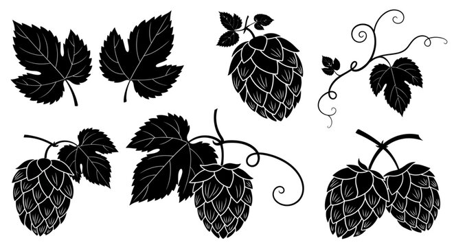 Black hop cones, leaves, and vines, vector icons, brewery symbols, beer ingredients, 8 silhouette illustrations