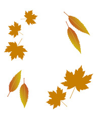 Fototapeta premium Autumn leaves frame composition isolated on white background vector illustration