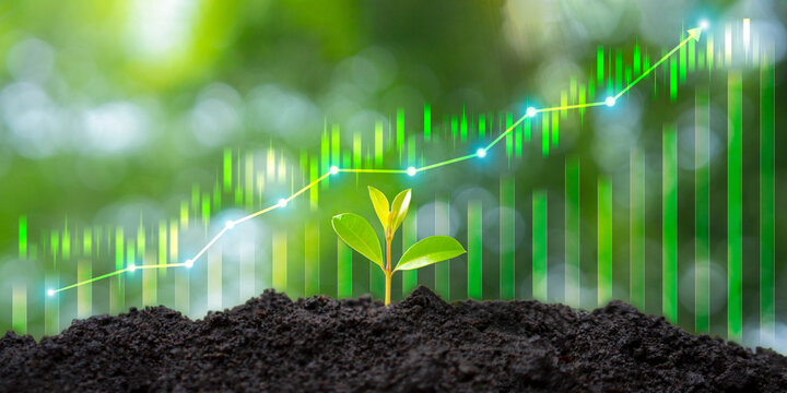 The seedlings are sprouting in fertile soil, accompanied by an upward trend in the financial candlestick chart&mdash;a symbol of sustainable growth and prosperity for the organization.