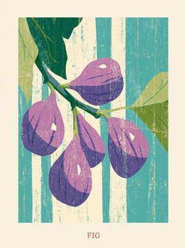 Retro Fig Branch Poster Illustration