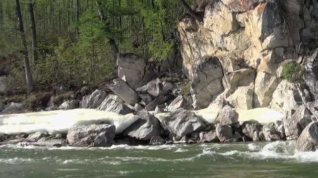 Pristine beauty of Khuvsgul Lake's shoreline in Mongolia unfolds. Gentle waves ripple against ancient rocks, where glistening snow lingers below fresh green trees. Emblem of early spring's arrival.