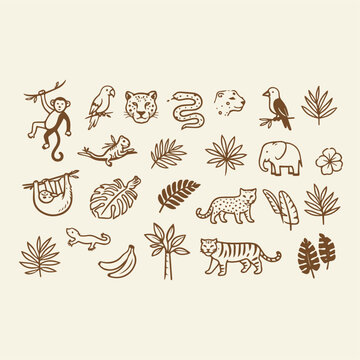 Hand drawn jungle animal icons, 25 tropical safari line art elements, brown ink style wildlife illustrations for nature branding and educational design