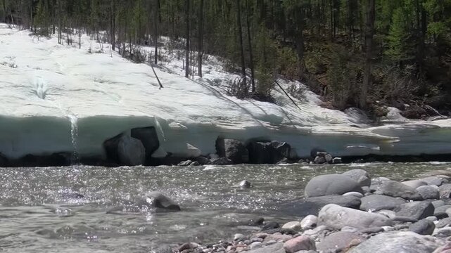 Witness the majestic power of a rushing river fed by melting snow and ice near Lake Khuvsgul, Mongolia.