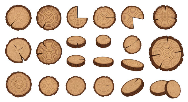 Collection of Wood Slices and Tree Ring Textures on White Background