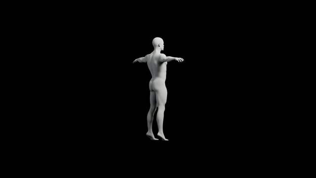 Mannequin T-pose front view