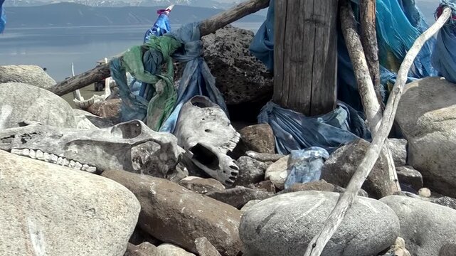 Witness a profound Mongolian Ovoo, adorned with weathered animal skulls and vibrant prayer cloths.