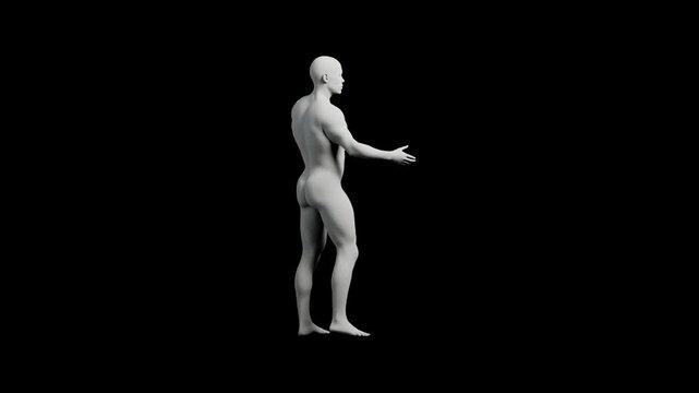 3D mannequin figure standing against black backdrop