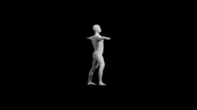 Mannequin T-pose front view