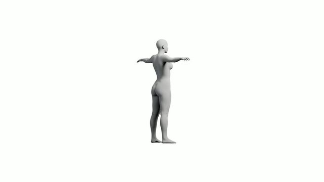 3D human figure model in T-pose against white background