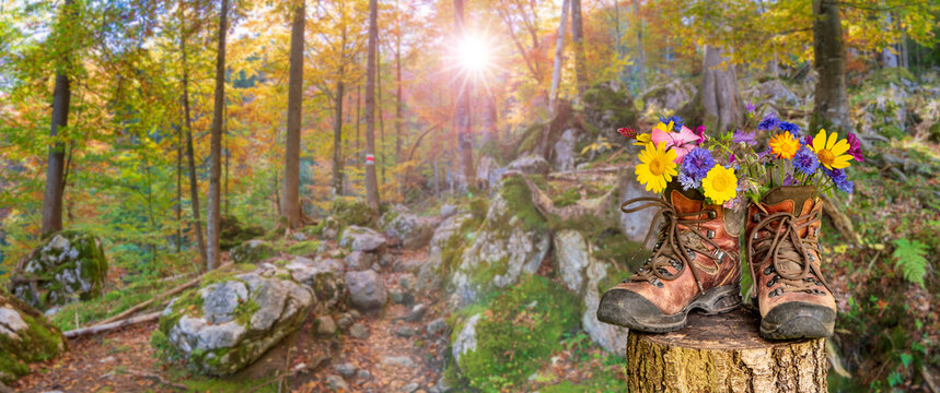 Ein Paar Wanderstiefel gef&uuml;llt mit einem Strau&szlig; Blumen, steht in einem Herbstwald im Allg&auml;u - FOTOMONTAGE