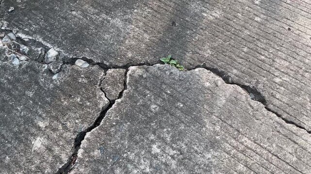 Cracked concrete road texture background, damaged asphalt surface