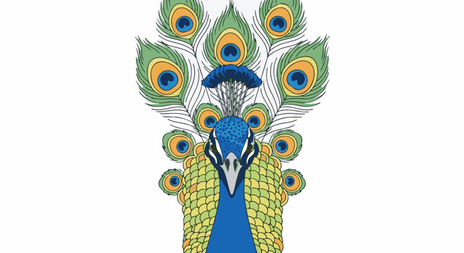 A stylized, front-facing peacock with its elaborate tail feathers fanned out