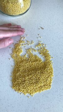 Vertical video. Woman sorting through the millet, separating the clean grain from impurities and debris. Affordable products, poverty, the theme of saving money and a reasonable approach to shopping