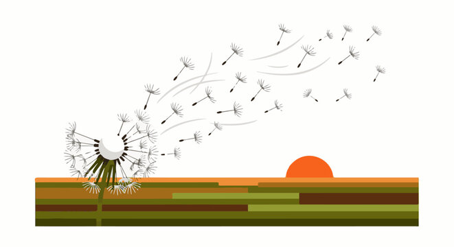 Dandelion seeds drift on wind against a sunset over layered fields