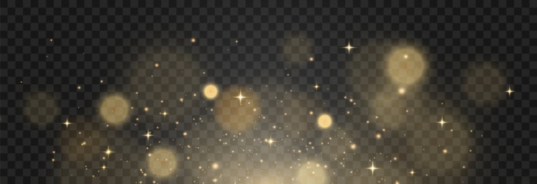 Vector bokeh lights effect. Soft blured bokeh and lights isolated on png background. Festive golden luminous background. Vector Christmas concept.