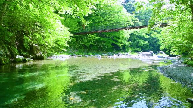 栃木県那須塩原市　木の俣園地を流れる木の俣川と巨岩吊り橋