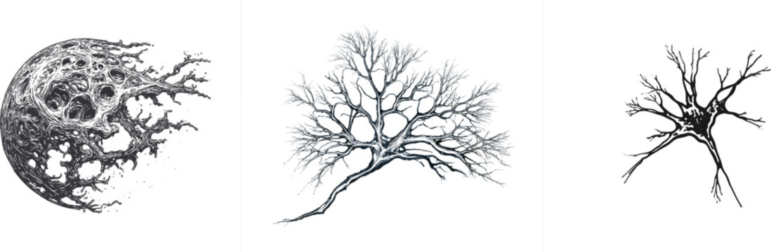 A striking black-and-white illustration of a complex cellular mass with intricate internal structures against a pure white background, ideal for vector tracing