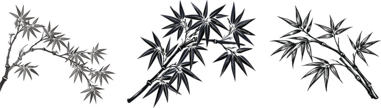 A unique bamboo paint stroke in dark slate gray against a pure white background showcases organic line variations and finely split high-contrast ends optimized for vector tracing