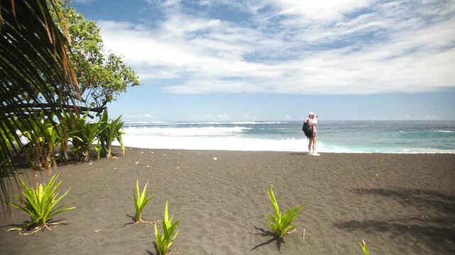 Black sand Tahiti beach with palms and misty volcanic ridge, rolling waves, scattered driftwood along remote shoreline overcast light casts subdued tones, creating cinematic Tahiti, French Polynesia