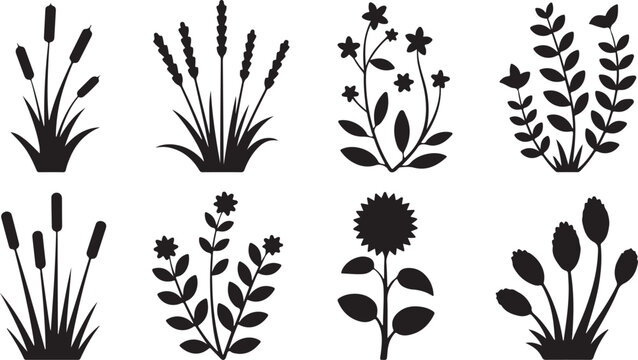 Black silhouette collection of wild flowers and meadow grasses for floral border graphics isolated on transparent background.