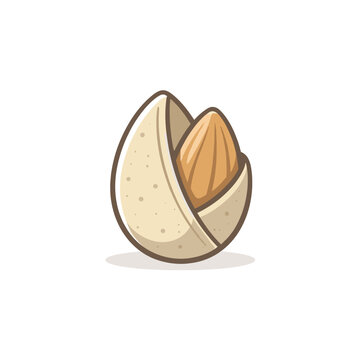 Almond Vector Illustration With Shell With Shadow
