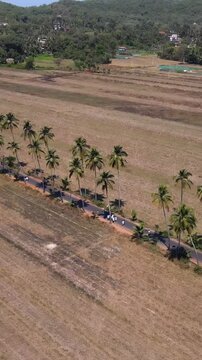 Vertical Aerial Shot of Parra Road Goa India